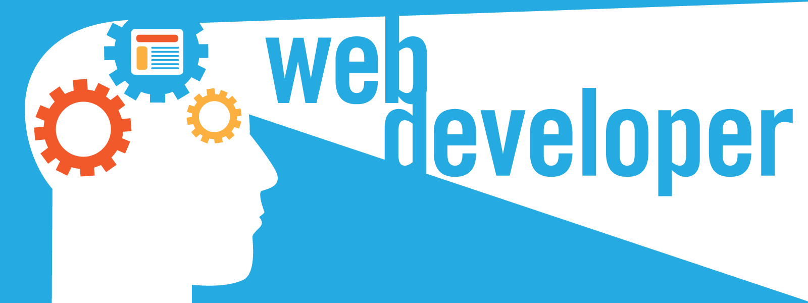 what is web development