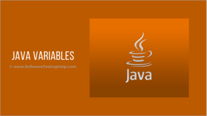Java Primitive Data Types and Variables - Learn With Shikha